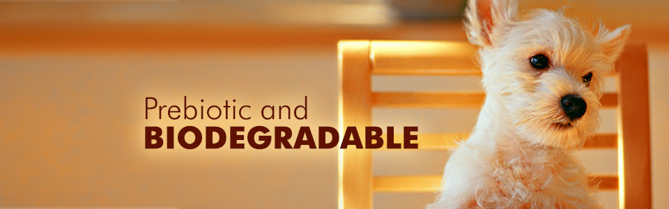 Prebiotic and Biodegradable